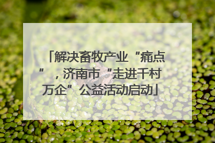 解决畜牧产业“痛点”，济南市“走进千村万企”公益活动启动