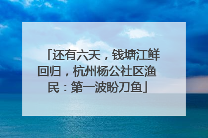 还有六天，钱塘江鲜回归，杭州杨公社区渔民：第一波盼刀鱼