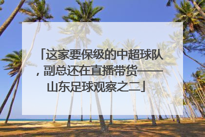 这家要保级的中超球队，副总还在直播带货——山东足球观察之二