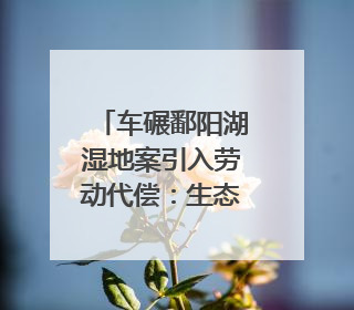 车碾鄱阳湖湿地案引入劳动代偿：生态法治在创新尝试｜有一说一