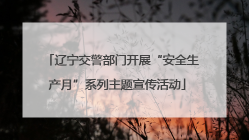 辽宁交警部门开展“安全生产月”系列主题宣传活动