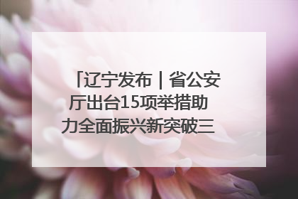 辽宁发布｜省公安厅出台15项举措助力全面振兴新突破三年行动决胜之战
