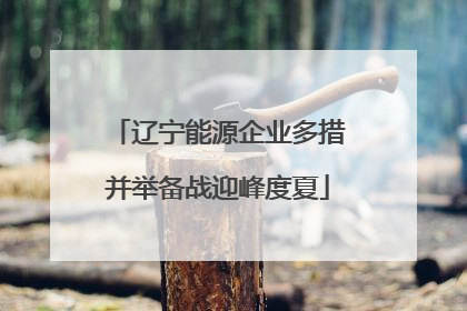 辽宁能源企业多措并举备战迎峰度夏
