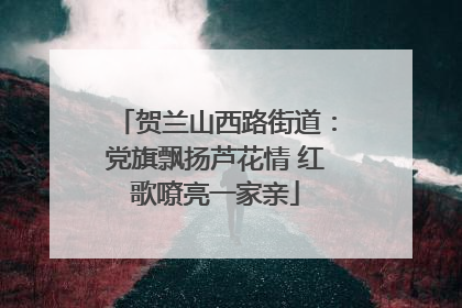 贺兰山西路街道：党旗飘扬芦花情 红歌嘹亮一家亲