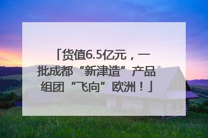 货值6.5亿元，一批成都“新津造”产品组团“飞向”欧洲！