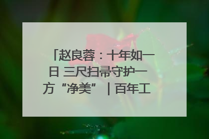 赵良蓉：十年如一日 三尺扫帚守护一方“净美”｜百年工运·劳模说