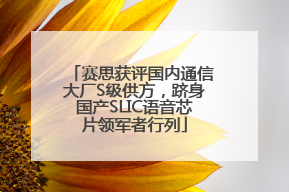 赛思获评国内通信大厂S级供方，跻身国产SLIC语音芯片领军者行列