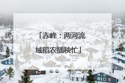 赤峰：两河流域稻农插秧忙
