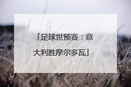 足球世预赛：意大利胜摩尔多瓦
