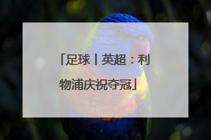 足球丨英超:利物浦庆祝夺冠