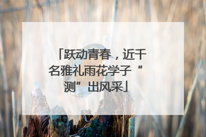 跃动青春，近千名雅礼雨花学子“测”出风采