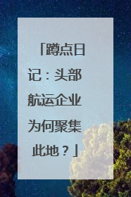 蹲点日记：头部航运企业为何聚集此地？