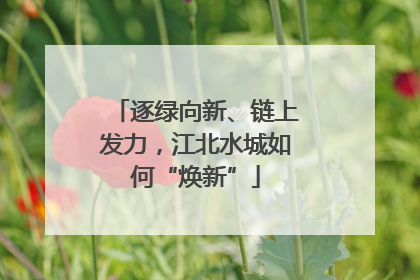 逐绿向新、链上发力，江北水城如何“焕新”