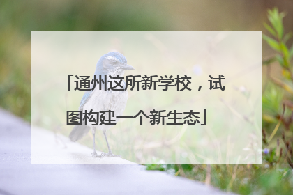 通州这所新学校，试图构建一个新生态