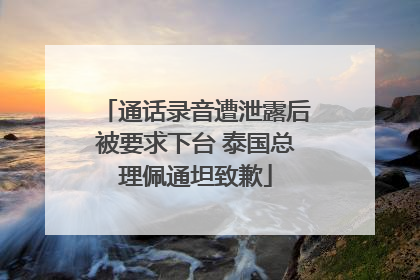 通话录音遭泄露后被要求下台 泰国总理佩通坦致歉