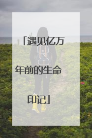 遇见亿万年前的生命印记
