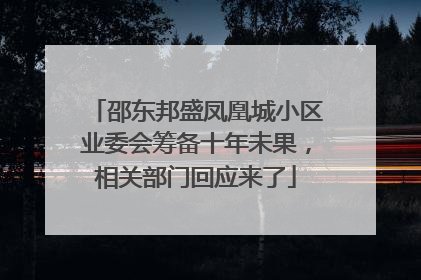 邵东邦盛凤凰城小区业委会筹备十年未果，相关部门回应来了
