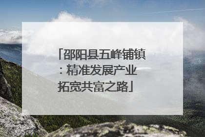 邵阳县五峰铺镇：精准发展产业 拓宽共富之路
