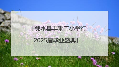 邻水县丰禾二小举行2025届毕业盛典