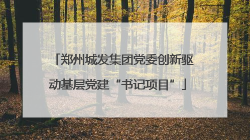 郑州城发集团党委创新驱动基层党建“书记项目”
