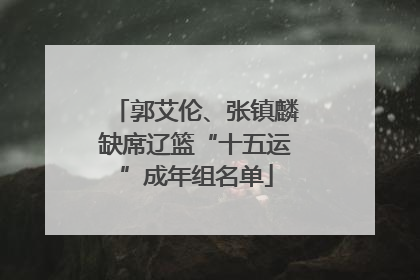 郭艾伦、张镇麟缺席辽篮“十五运”成年组名单