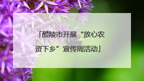 醴陵市开展“放心农资下乡”宣传周活动