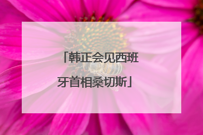 韩正会见西班牙首相桑切斯