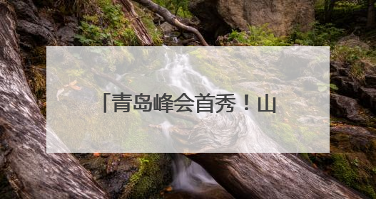 青岛峰会首秀！山东低空经济全产业链实力藏不住了