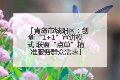 青岛市城阳区：创新“1+1”宣讲模式 联盟“点单”精准服务群众需求