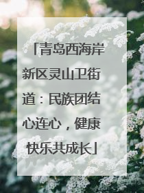 青岛西海岸新区灵山卫街道：民族团结心连心，健康快乐共成长