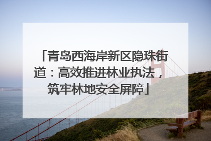 青岛西海岸新区隐珠街道：高效推进林业执法，筑牢林地安全屏障