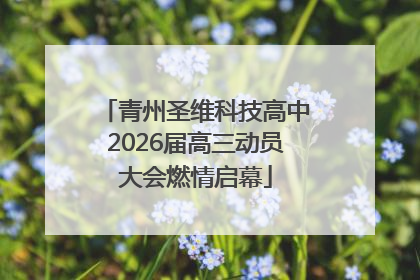 青州圣维科技高中2026届高三动员大会燃情启幕