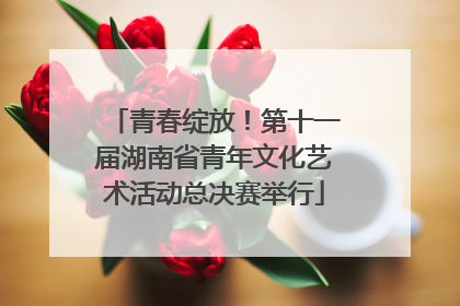 青春绽放！第十一届湖南省青年文化艺术活动总决赛举行