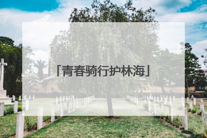 青春骑行护林海
