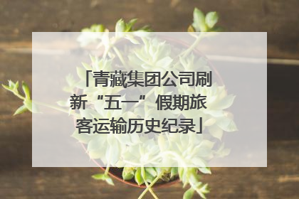 青藏集团公司刷新“五一”假期旅客运输历史纪录