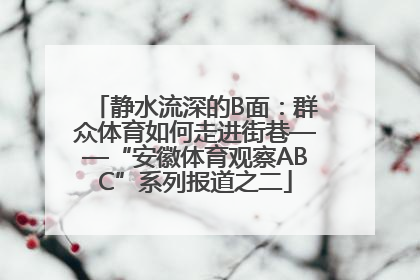 静水流深的B面：群众体育如何走进街巷——“安徽体育观察ABC”系列报道之二