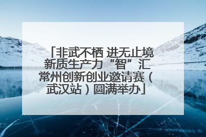 非武不栖 进无止境 新质生产力“智”汇常州创新创业邀请赛（武汉站）圆满举办