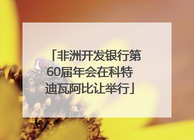 非洲开发银行第60届年会在科特迪瓦阿比让举行