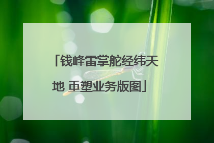 钱峰雷掌舵经纬天地 重塑业务版图