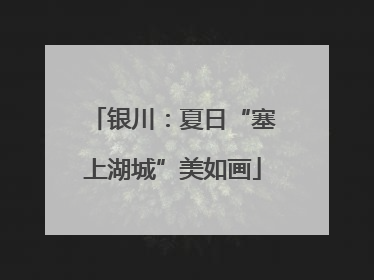 银川：夏日“塞上湖城”美如画