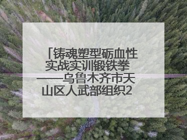 铸魂塑型砺血性 实战实训锻铁拳——乌鲁木齐市天山区人武部组织2025年度民兵集中轮训