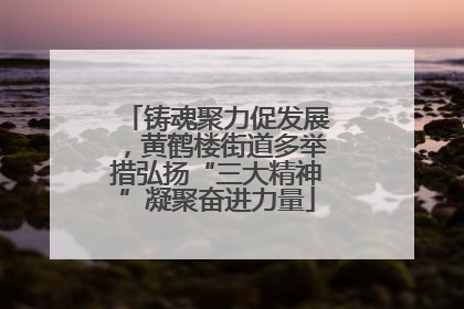 铸魂聚力促发展，黄鹤楼街道多举措弘扬“三大精神”凝聚奋进力量
