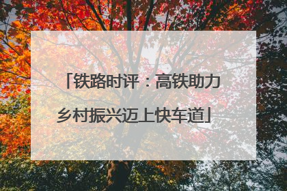 铁路时评：高铁助力乡村振兴迈上快车道