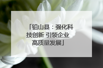 铅山县：强化科技创新 引领企业高质量发展