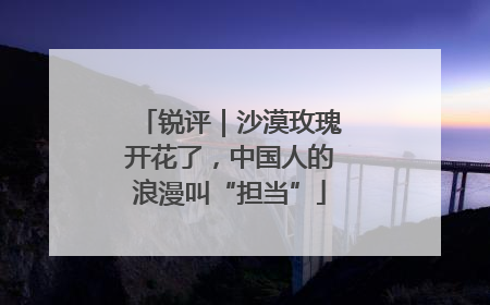 锐评｜沙漠玫瑰开花了，中国人的浪漫叫“担当”