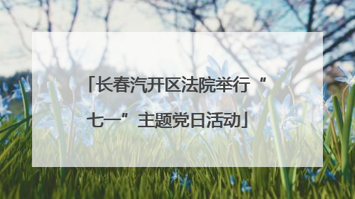 长春汽开区法院举行“七一”主题党日活动