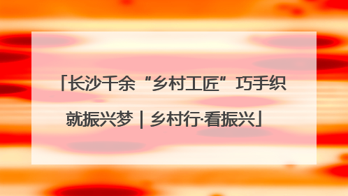 长沙千余“乡村工匠”巧手织就振兴梦｜乡村行·看振兴