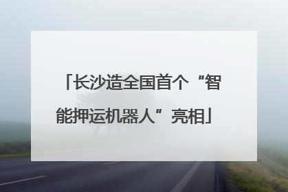 长沙造全国首个“智能押运机器人”亮相