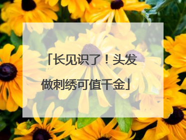 长见识了！头发做刺绣可值千金