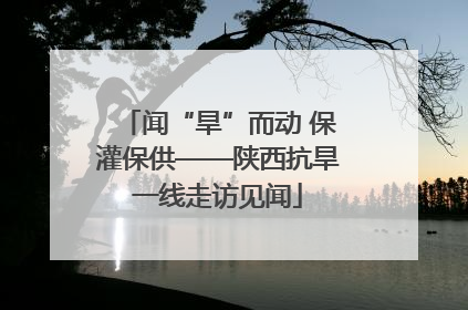 闻“旱”而动 保灌保供——陕西抗旱一线走访见闻